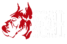 scarbeer